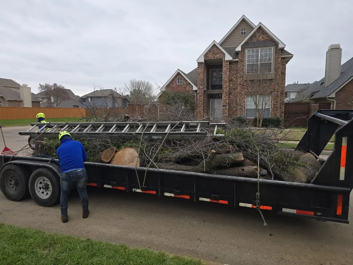 Expert Tree Pest Control with proper safety equipment in Roans Prairie
